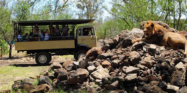 Casela nature park mauritius (6)
